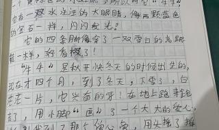 三年级下册作文大全 三年级下册作文大全