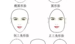 鹅蛋脸适合发型